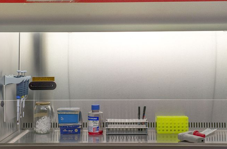 biosafetyculture.png