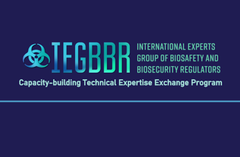 iegbbr.png