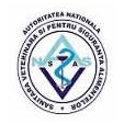 Institute for Diagnosis and Animal Health