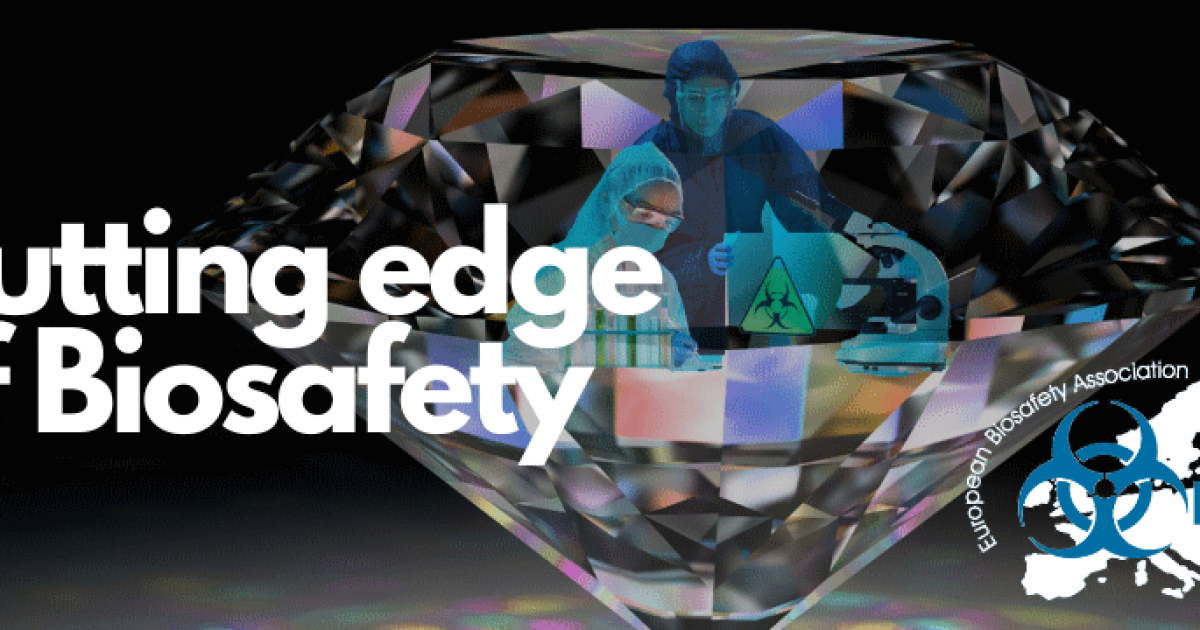 About EBSA Conference 2024 and Preconference courses European