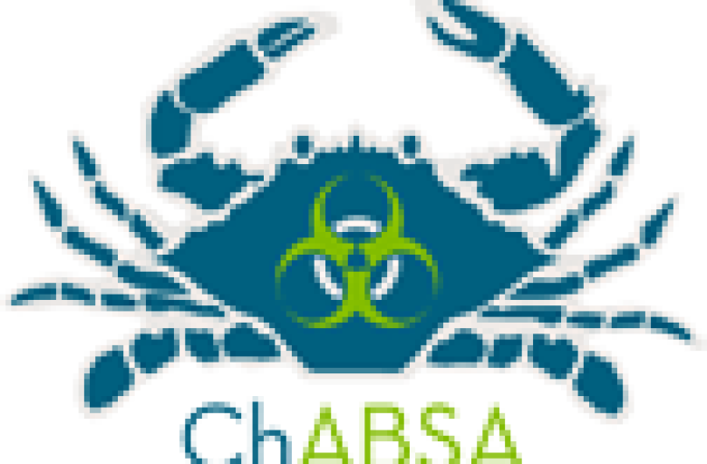chabsa-logo.png